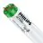Philips MASTER TL-D Actinic BL 15W - Ultraviolett | 44cm