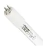 Philips T5 UV - C HO 145W - Ultraviolett | 155cm - 4 - Pin - UNP