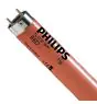 Philips MASTER TL-D 36W - Rot | 120cm